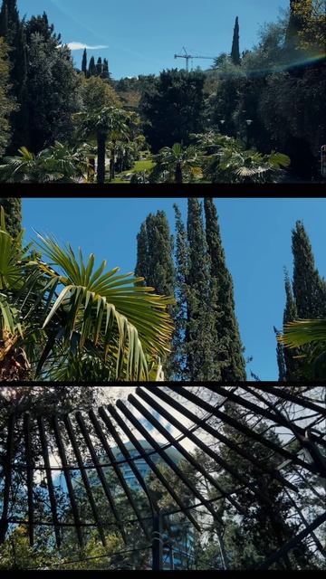 Ялта и окресности смотреть онлайн