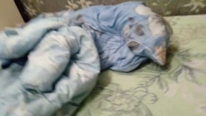 VID_20250413_210218.mp4