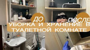 Организация хранения в ТУАЛЕТЕ/ МОТИВАЦИЯ  на уборку  в туалете/ МИНИМАЛИЗМ в моющих средствах