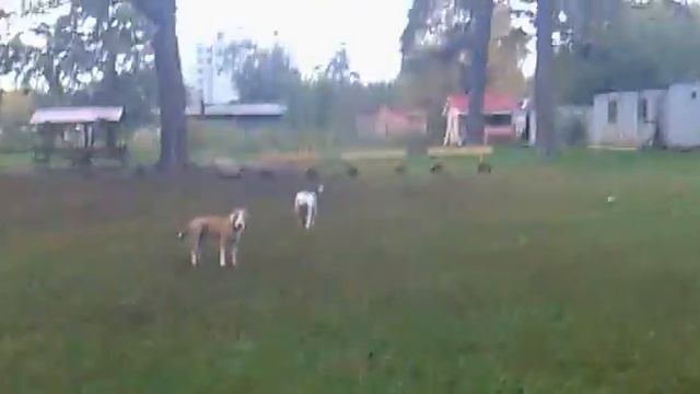 04102011037 смотреть онлайн