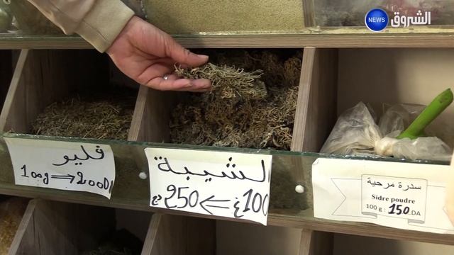 "المريمية"، "البردقوش" و "الكاليتوس" أعشــاب طبية لازالت تستعمل..  تعرف على فوائدها