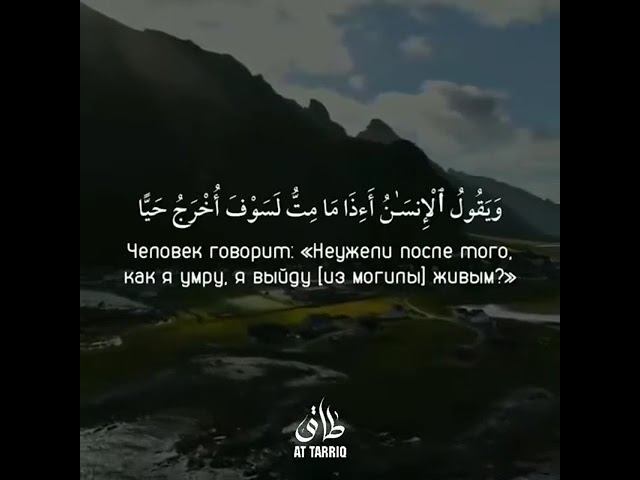 Красивое чтение Корана КРАСИВОЕ ЧТЕНИЕ КОРАНА 81