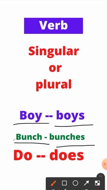 verb || singular or plural ?
