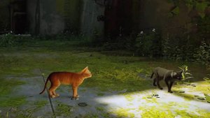 Stray. Прохождение игры #4