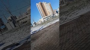 Утро вербного воскресенья Санкт-Петербург