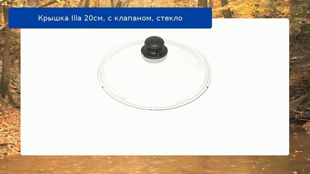 Крышка Illa 20см, с клапаном, стекло смотреть онлайн