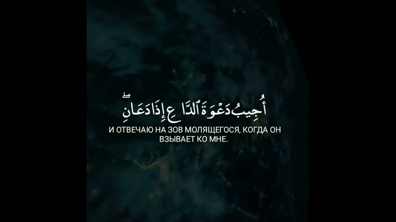 КРАСИВОЕ ЧТЕНИЕ КОРАНА 63