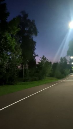 Вечернее небо в парке