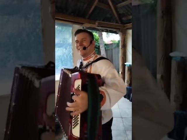 Застольные песни