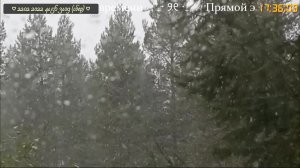 В гостях у Натальи Шитовой (13.04.25)