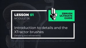 6-1 Intro to details and XTractor brushes