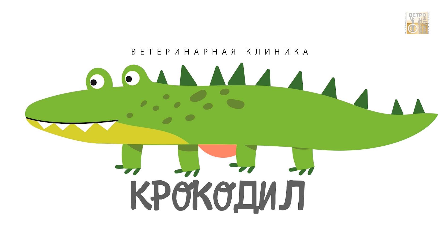 Современная ветеринария на Камчатке. Клиника КРОКОДИЛ Полная версия программы от 03.2025