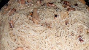 🌊🍜 Фунчоза по-средиземноморски: Вкусный и Полезный Обед! 🍽️✨