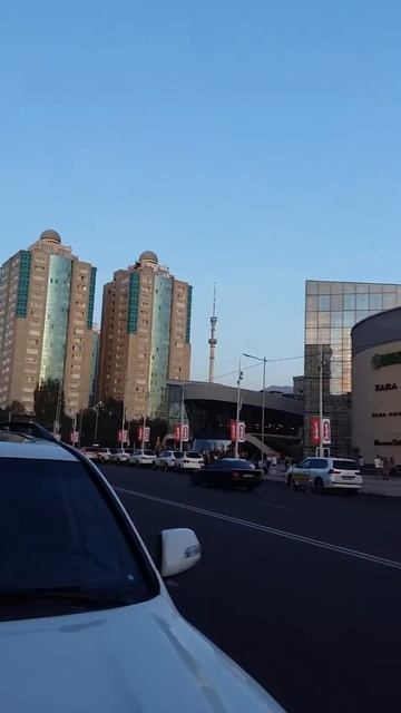 Птичий базар в центре Алматы