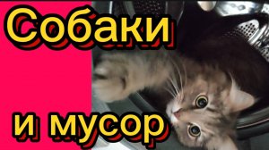 ДЕРЕВЕНСКИЙ ДНЕВНИК. "СОБАКИ И МУСОР"