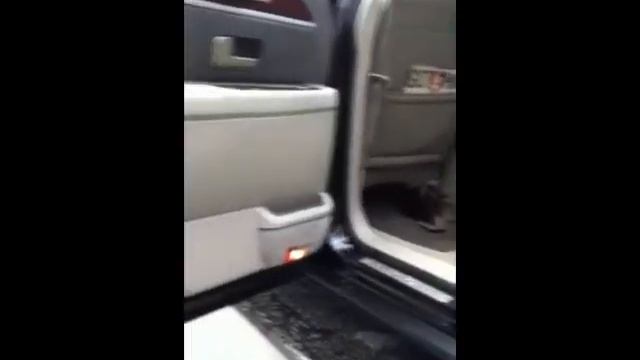 NY Limousine Black Limousines Blue NY Limousines Burgundy New York Limousines смотреть онлайн