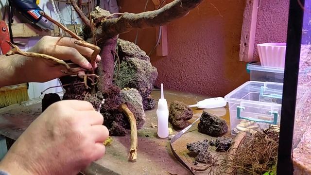 YENİ KURDUĞUM AKVARYUM - YENİ BİTKİLER смотреть онлайн