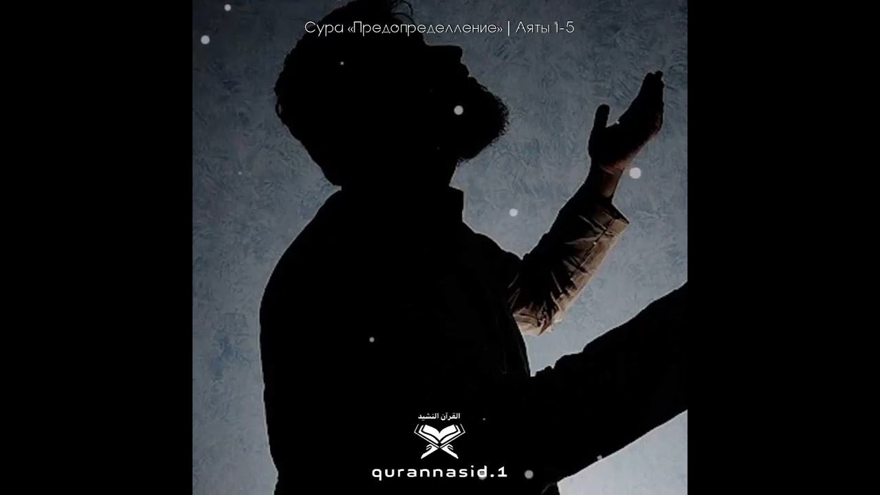 ПОСЛУШАЙТЕ КРАСИВОЕ ЧТЕНИЕ КОРАНА 119