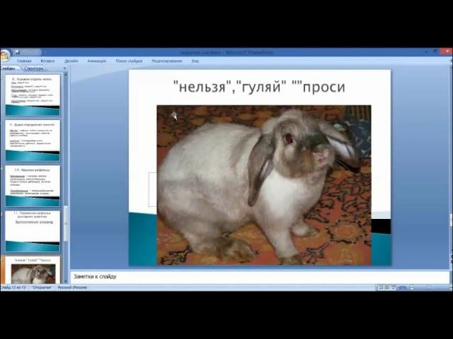 Онлайн урок 24 04 2020 в 7 классе Биология Нервная система Рефлекс Инстинкт