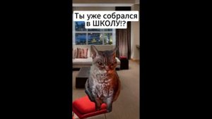 Пов: как быстро проходят каникулы #подпишись #мем #котики #коты #юмор #кот #школа #fypシ #мемныекоты