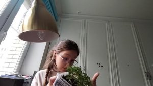 Обзорчик на растения🪽🌿🌱