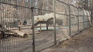 зоопарк новосибирск