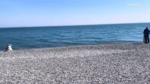 Сочи Адлер пляж Причал сегодня 13 апреля 2025. Как выглядит пляж, погода и море сейчас