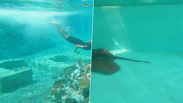 SeaPark. Видеопрезентация от Calypso Tour / Video presentation from Calypso Tour смотреть онлайн