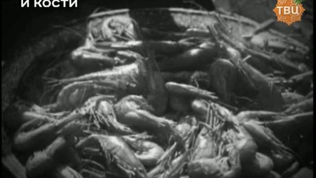 Хроники московского быта / Вырезка и кости смотреть онлайн