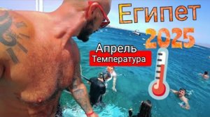 Египет 🇪🇬 ВЗЛЕТЕЛИ ЦЕНЫ, КАКИЕ ИЗМЕНЕНИЯ Xperience Sea Breeze 5* (номер, подводный мир и обед)