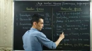 ЭНДОКРИННАЯ СИСТЕМА. МУСКИЕ ПОЛОВЫЕ ГОРМОНЫ