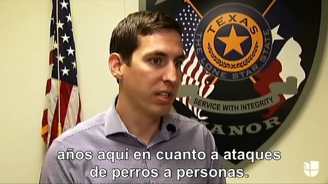 En video: Un perro ataca salvajemente a un niño de siete años en Texas смотреть онлайн