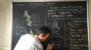 ДЫХАНИЕ. ОБЩАЯ ХАРАКТЕРИСТИКА