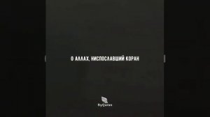 Нашид про Палестину , Мишари Рашид