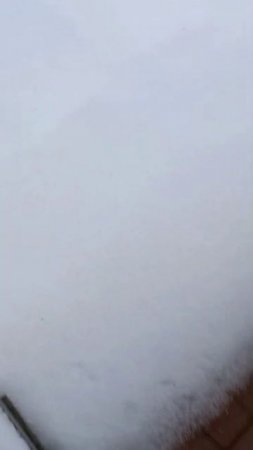 ВСЕМ ДОБРОГО! СНЕЖНОГО! УТРА!