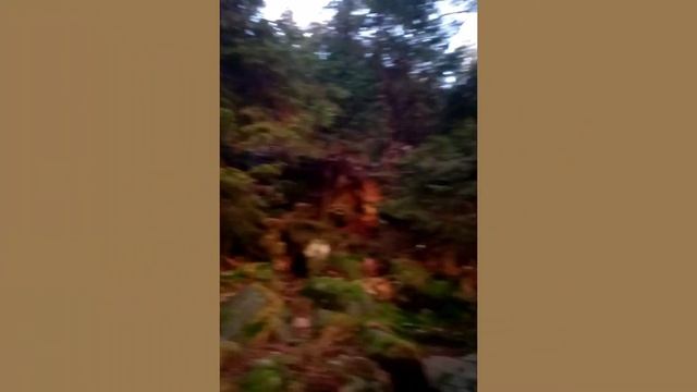 1 января 2024. Прогулка в Шварц Вальд /Черный лес на горном озере. Нашли снег! Правда искусственный смотреть онлайн