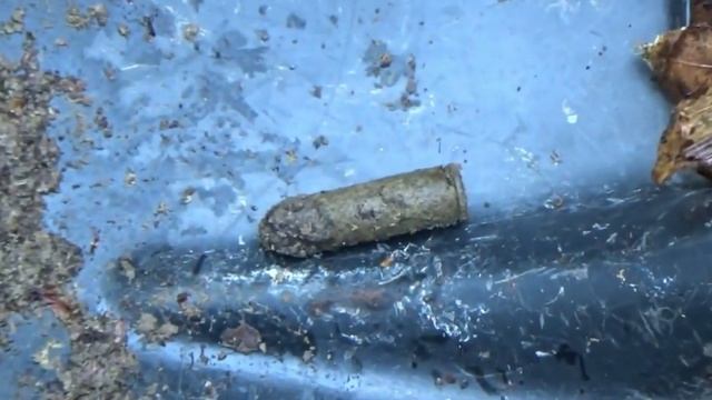 Відкрив пошуковий сезон 2024. / Пошук з металодетектором, в горах Карпатах. смотреть онлайн