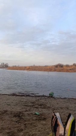 приехали на речку за карасиком. #волгабезводы #рыбалканаозере #fishing #фидер #рыбалканафидер