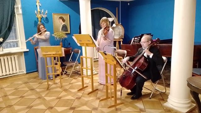 В.А.Моцарт. Венская серенада №3. Allegro. Menuet. Rondo.