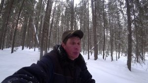 Закрыл капканы, лиса ворует привады. Тулана чуть не задавили! Спилил дрова. 2 серия