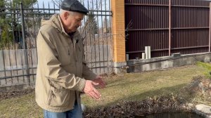Как перезимовали нимфеи в мини пруду утеплённым пеноплексом.