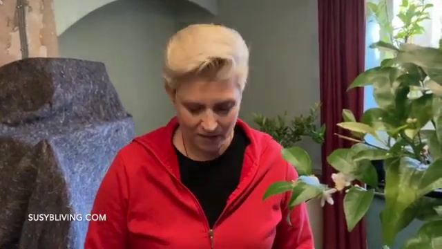 Over Wintering Citrus