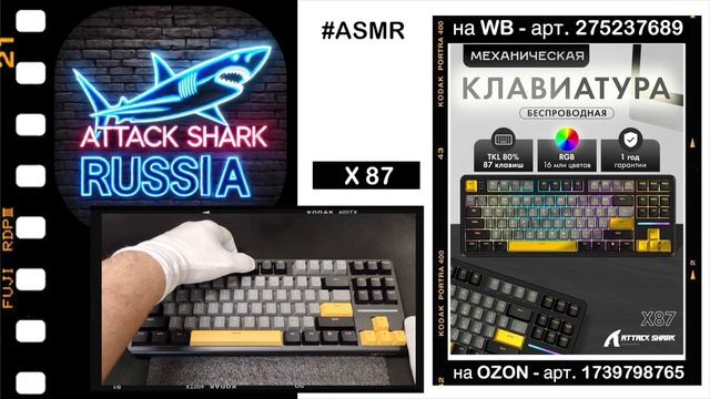 ATTACK SHARK X87 ASMR Typing Sound АСМР Тайпинг тест механическая клавиатура Тайпинг Mechanical Ke
