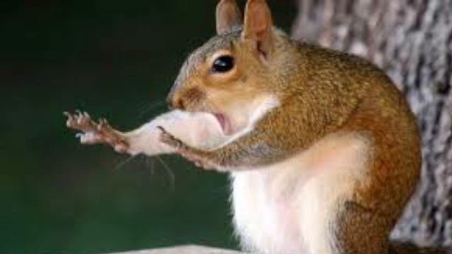 Остап Парфёнов Хочу жрать bass boost версия смотреть онлайн