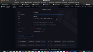 Проверяем блокчейн транзакции Mining Grid и Antpool