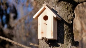 07.04.2025 быстрый заезд в жилье без риэлторов и посредников, для начала нужно навести порядок.