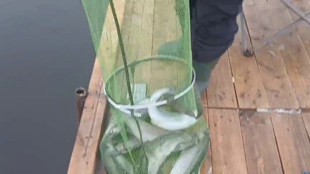 13-04-2025 смотреть онлайн