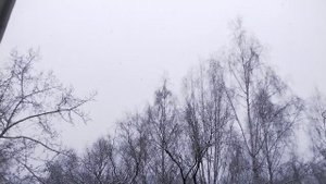 А у нас снова снег🙂 !Чистый и пушистый и такой игристый😍