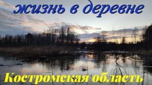 ЖИЗНЬ В ДЕРЕВНЕ, ВСТАВИЛИ ОКНО, БЕРЁЗОВЫЙ СОК, ВСТРЕТИЛИ БОБРА