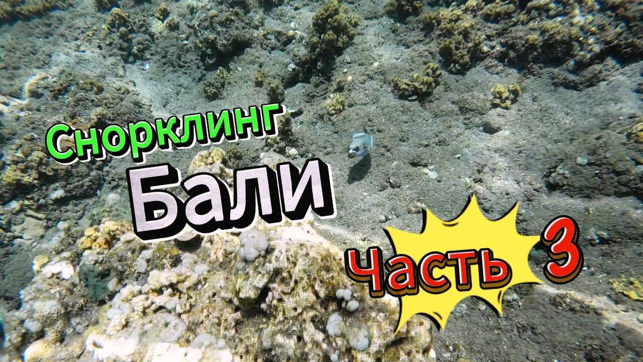 Снорклинг Бали часть 3/Snorkeling BALI part 3
